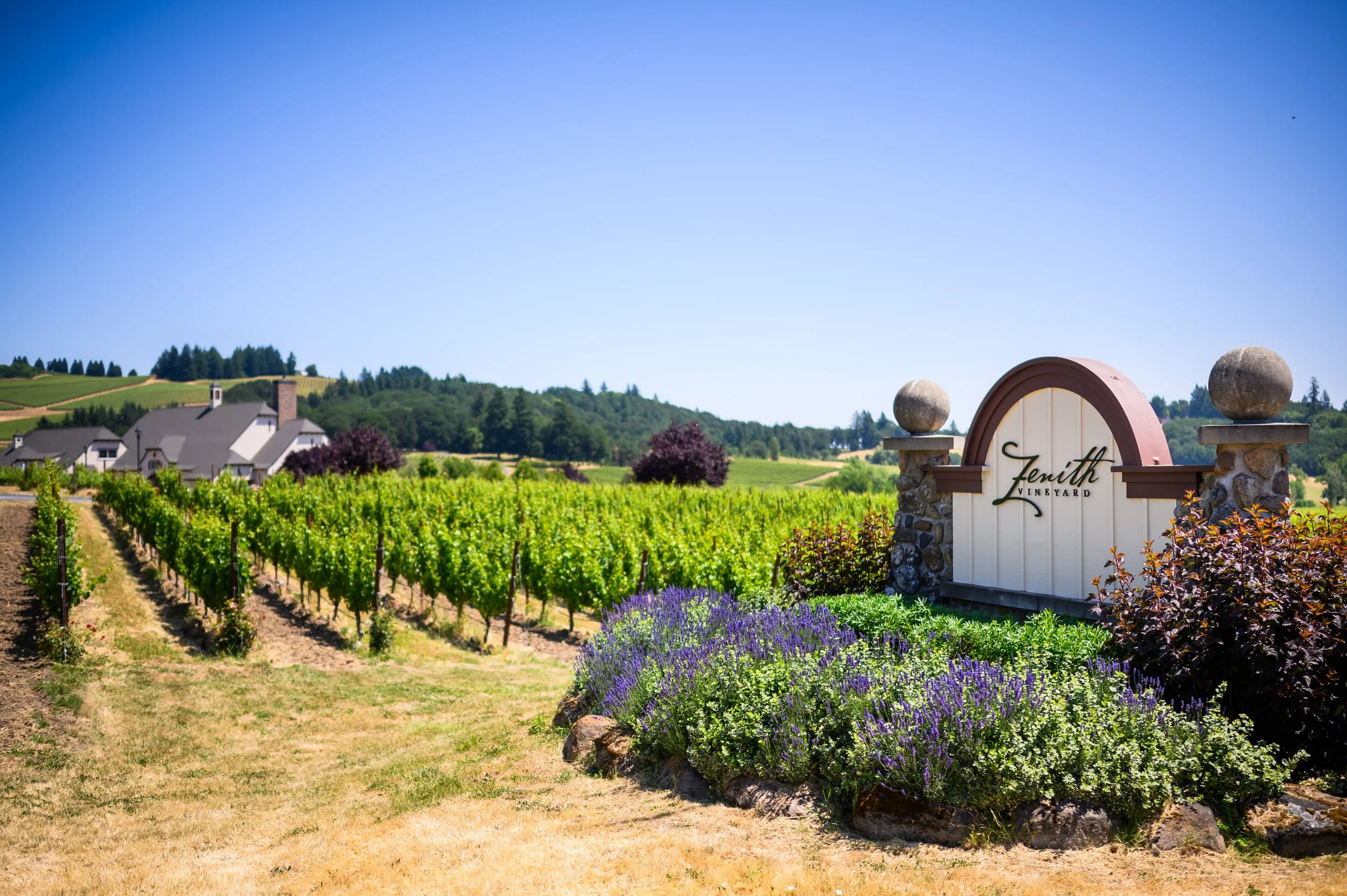 Oregon Winery Wedding Photo Gallery — Zenith Vineyard